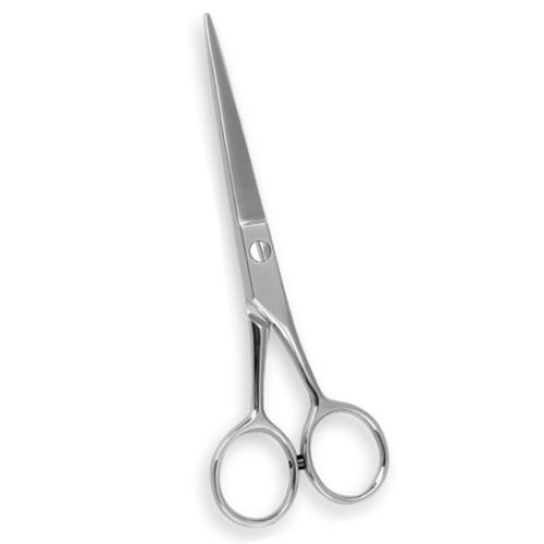 Professional Hair Cutting Scissors